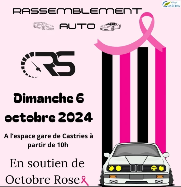 Rassemblement auto castries rétro sport